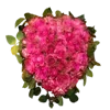 Стикер 15 💐 Набор эмоджи с букетами цветов