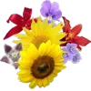 Стикер 27 💐 Набор эмоджи с букетами цветов