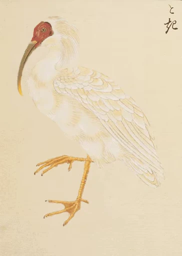 🐦 Стикер «Ukiyo-e» для Telegram