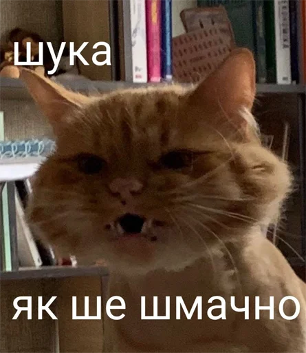 🤨 Стикер «укр стікери» для Telegram
