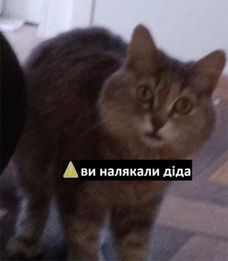 😟 Стикер «укр стікери» для Telegram