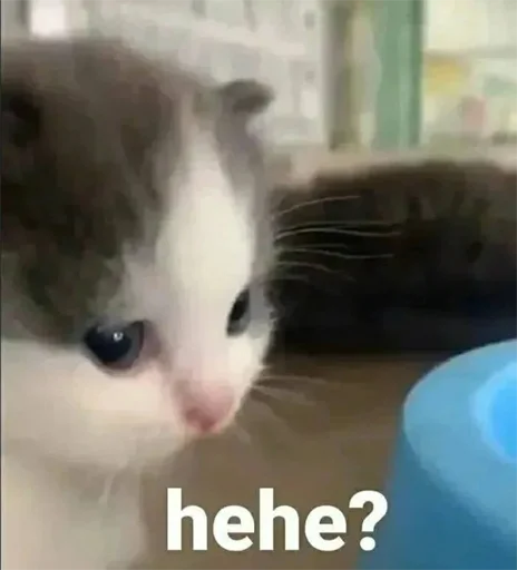 ☺️ Стикер «укр стікери» для Telegram