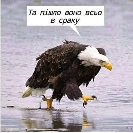 🤨 Стикер «укр стікери» для Telegram