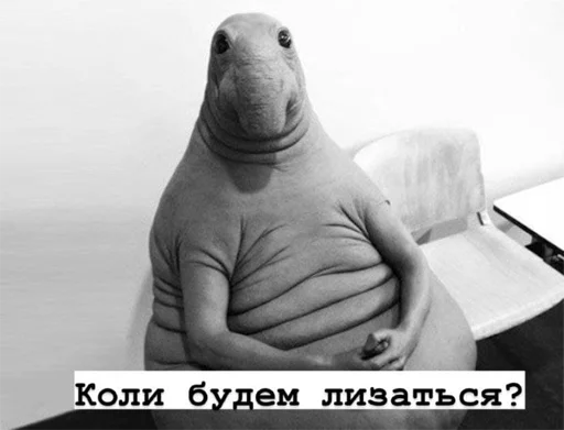 😏 Стикер «укр стікери» для Telegram