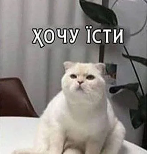 😢 Стикер «укр стікери» для Telegram