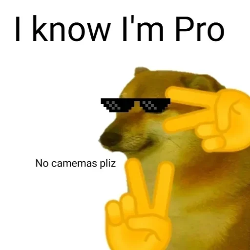 🏵 Стикер «memes random» для Telegram