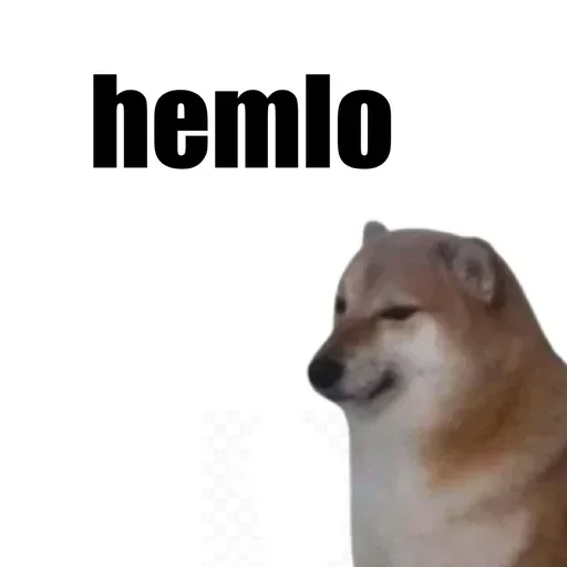 🏵 Стикер «memes random» для Telegram