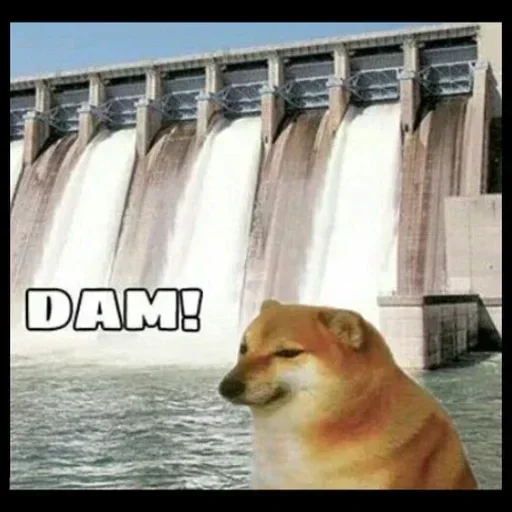 🏵 Стикер «memes random» для Telegram