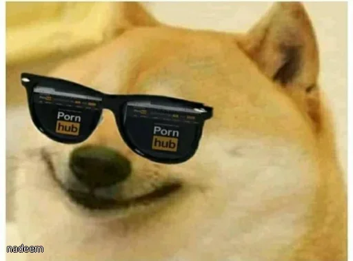 🏵 Стикер «Shiba Memes» для Telegram