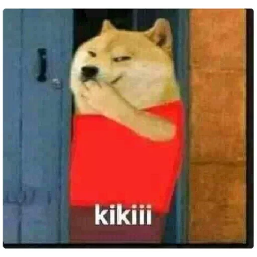 🏵 Стикер «Shiba Memes» для Telegram