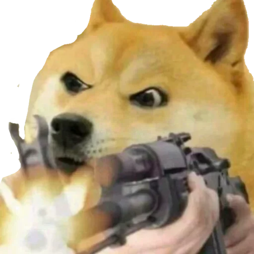 😡 Стикер «Shiba Memes» для Telegram