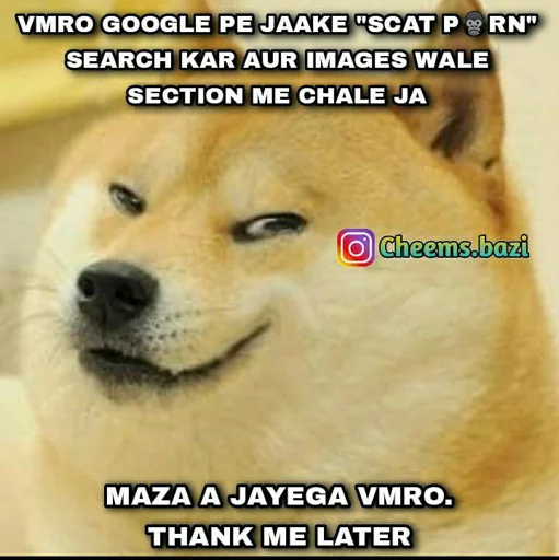 🏵 Стикер «Shiba Memes» для Telegram