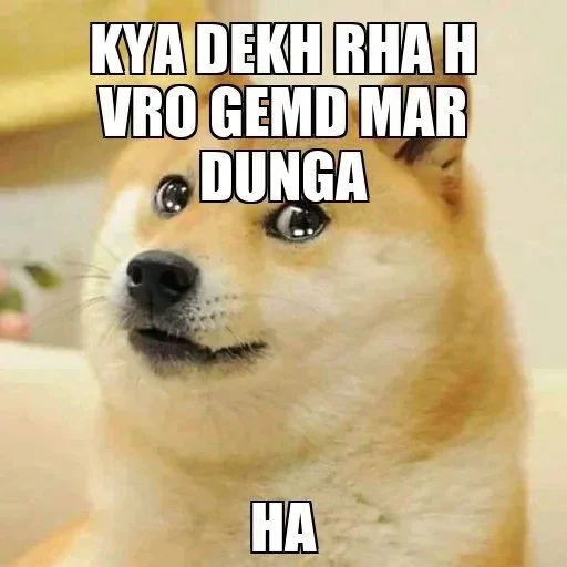 🥺 Стикер «Shiba Memes» для Telegram