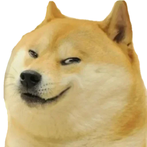 Стикерпак Shiba Memes для Telegram