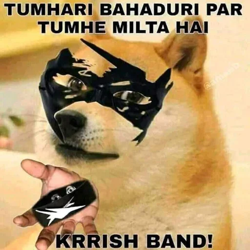 🏵 Стикер «Shiba Memes» для Telegram