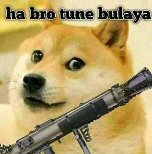 🤔 Стикер «Shiba Memes» для Telegram