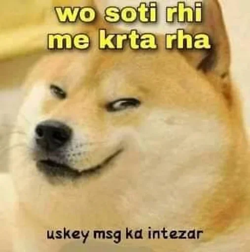 😁 Стикер «Shiba Memes» для Telegram