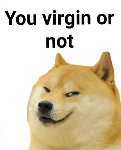 🏵 Стикер «Shiba Memes» для Telegram