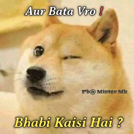 🏵 Стикер «Shiba Memes» для Telegram
