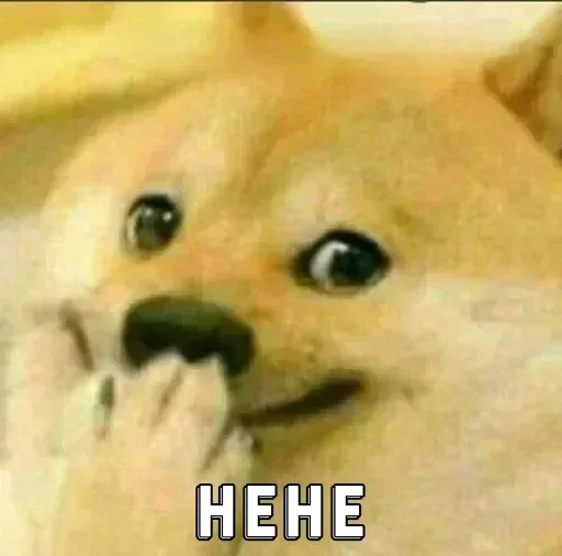 🏵 Стикер «Shiba Memes» для Telegram