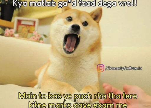 🏵 Стикер «Shiba Memes» для Telegram