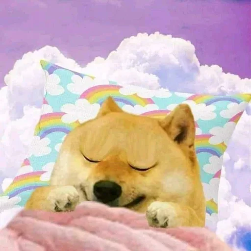 🌀 Стикер «Shiba Memes» для Telegram