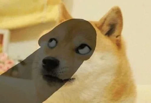 🤕 Стикер «Shiba Memes» для Telegram