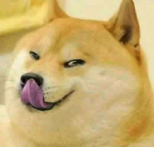 🏵 Стикер «Shiba Memes» для Telegram