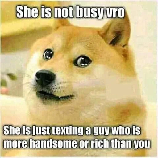 🏵 Стикер «Shiba Memes» для Telegram
