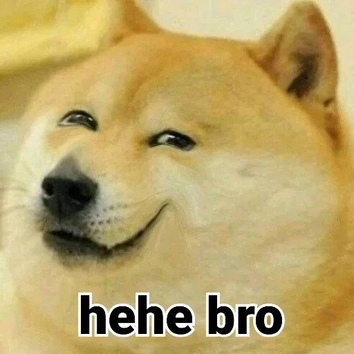🏵 Стикер «Shiba Memes» для Telegram