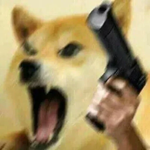 🏵 Стикер «Shiba Memes» для Telegram
