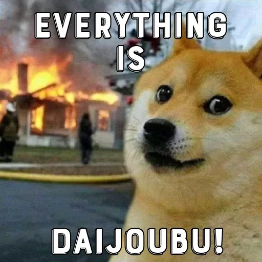 🏵 Стикер «Shiba Memes» для Telegram