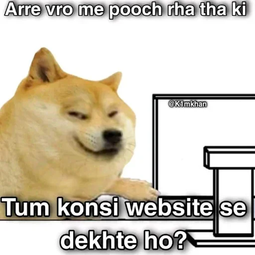 🏵 Стикер «Shiba Memes» для Telegram