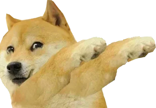 🏵 Стикер «Shiba Memes» для Telegram