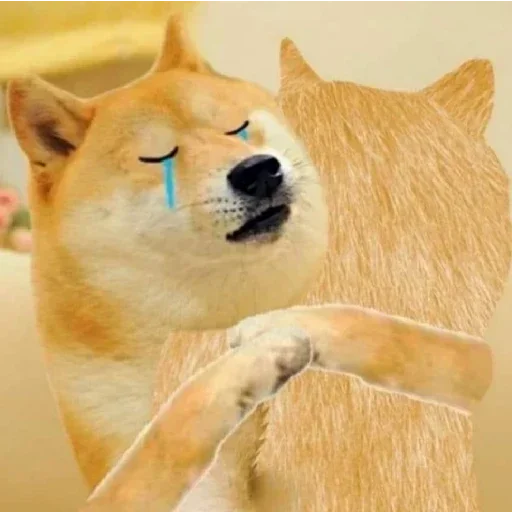 😁 Стикер «Shiba Memes» для Telegram