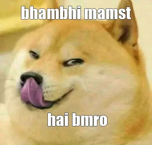 🏵 Стикер «Shiba Memes» для Telegram
