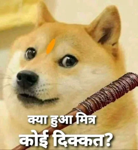 🤨 Стикер «Shiba Memes» для Telegram
