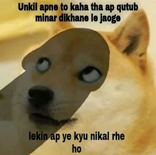 🤔 Стикер «Shiba Memes» для Telegram