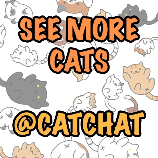 🐱 Стикер «CP» для Telegram
