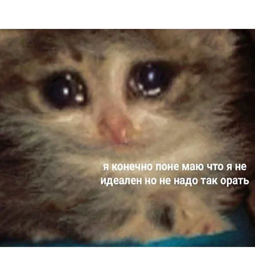😢 Стикер «Ultimate Memes Pack» для Telegram