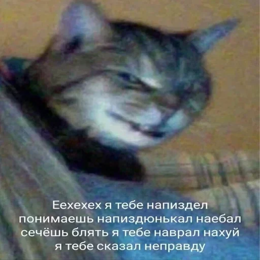 🐱 Стикер «Ultimate Memes Pack» для Telegram
