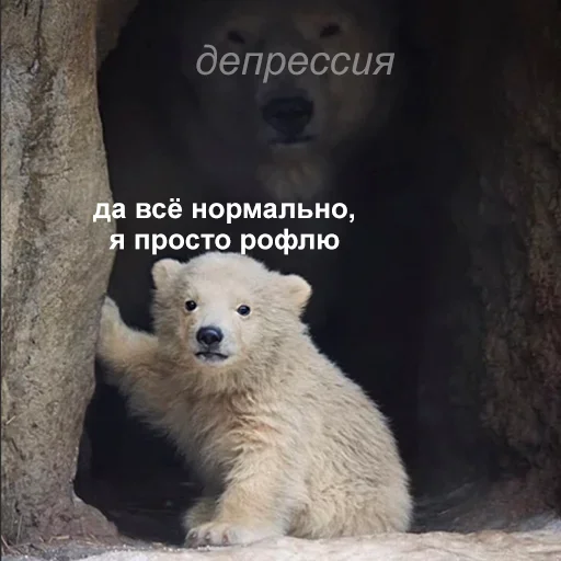 🙂 Стикер «Ultimate Memes Pack» для Telegram