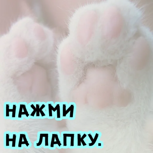 🥰 Стикер «ulybnis» для Telegram