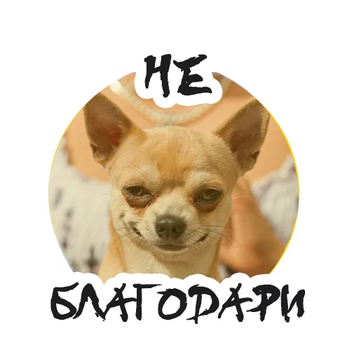 😏 Стикер «Упоротый Маркетолог» для Telegram