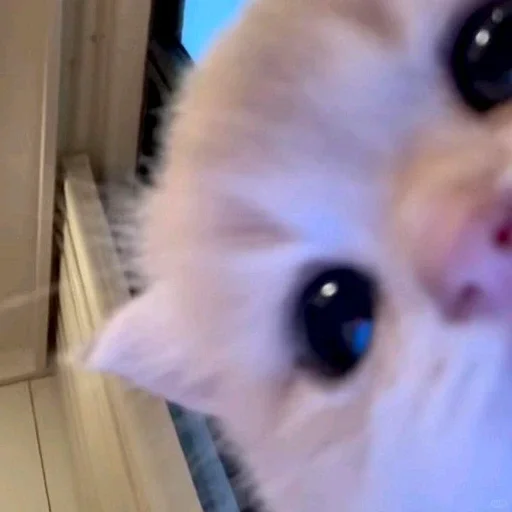 😘 Стикер «ухожу в» для Telegram