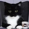 Стикер 19 Uni Cat