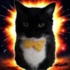 Стикер 6 Uni Cat