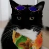 Стикер 8 Uni Cat