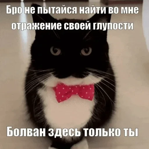 🌟 Стикер «Объединенный стикерпак Unico» для Telegram