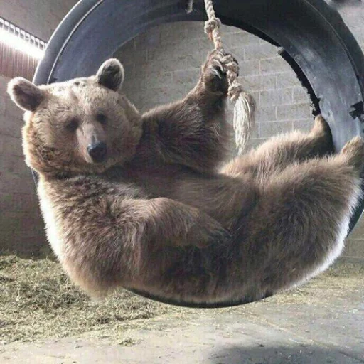 😃 Стикер «Uprt Animals» для Telegram